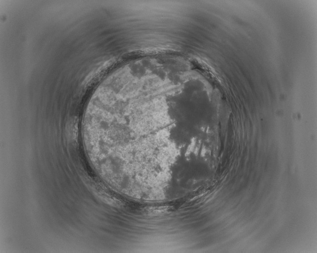 X0000070340495200606301744