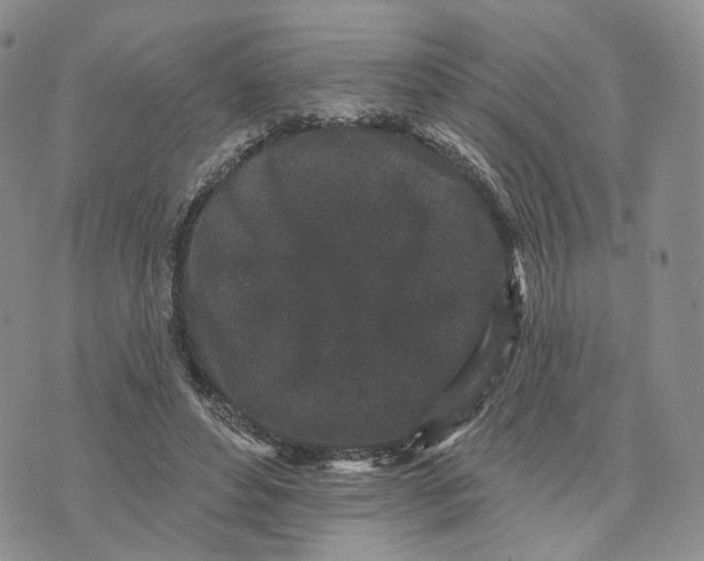 X0000070340496200606301744