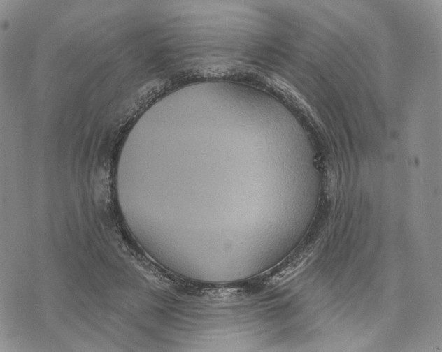 X0000070340497200606301744