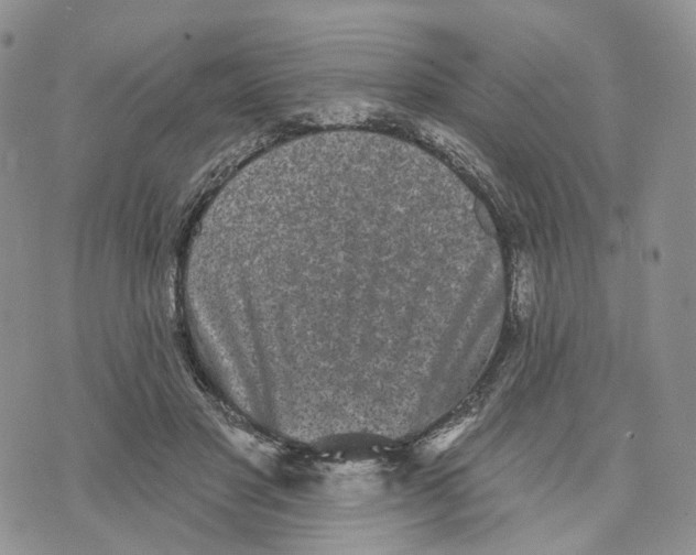 X0000070340501200606301744