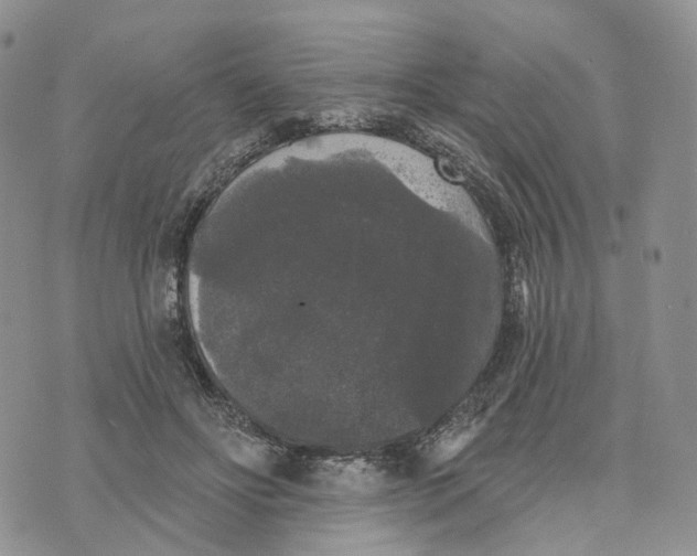 X0000070340502200606301744