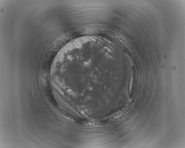 X0000070340503200606301744