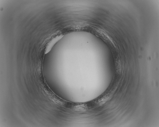 X0000070340505200606301744