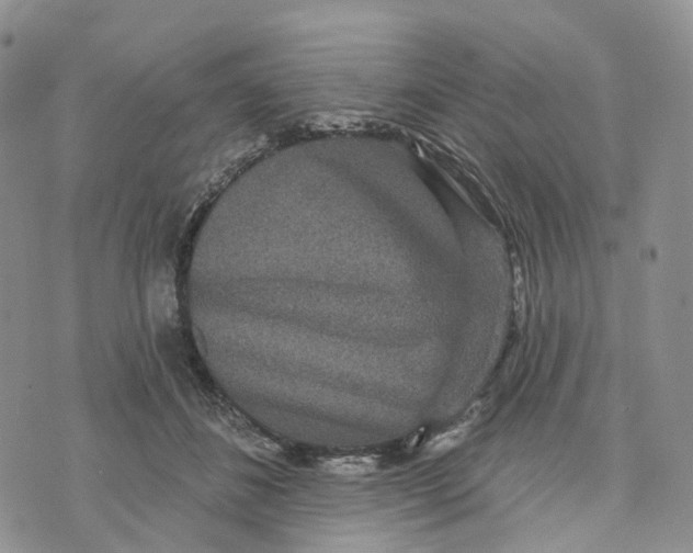 X0000070340508200606301744