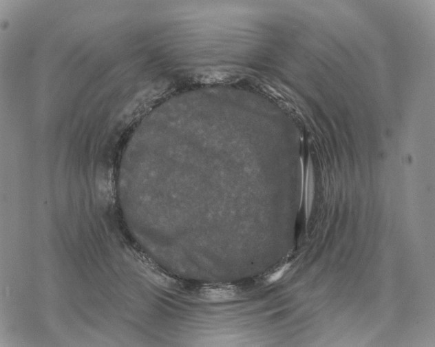 X0000070340510200606301744