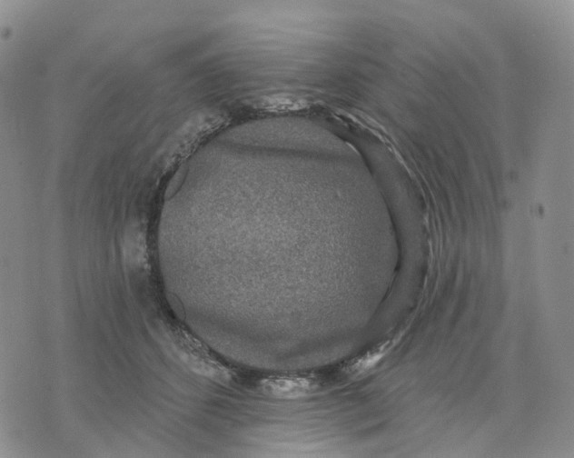 X0000070340512200606301744