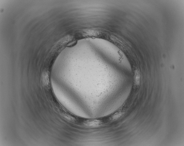 X0000070340514200606301744