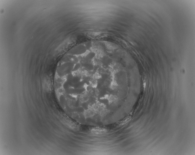 X0000070340515200606301744