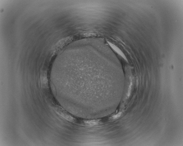 X0000070340516200606301744