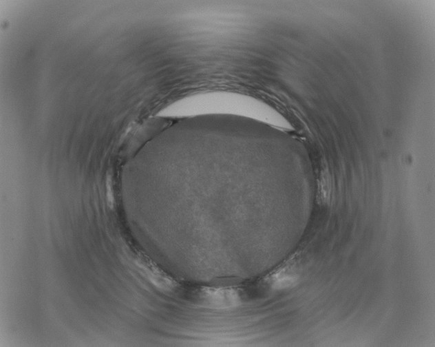 X0000070340520200606301744