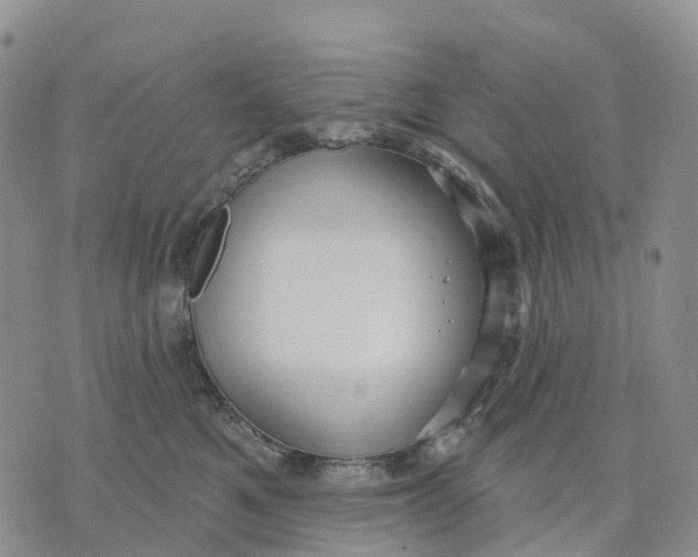 X0000070340521200606301744