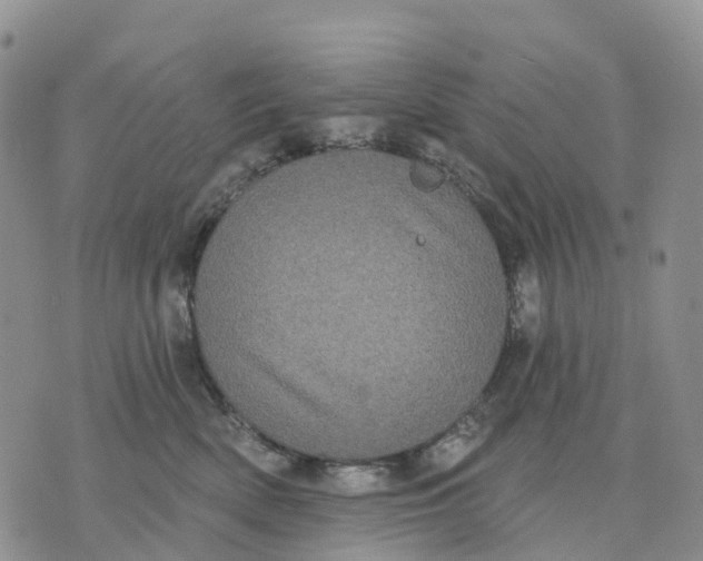 X0000070340522200606301744