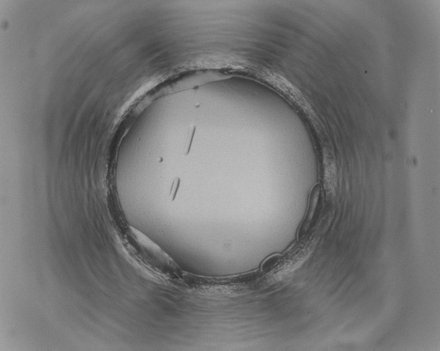 X0000070340530200606301743