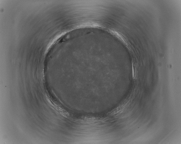 X0000070340531200606301743