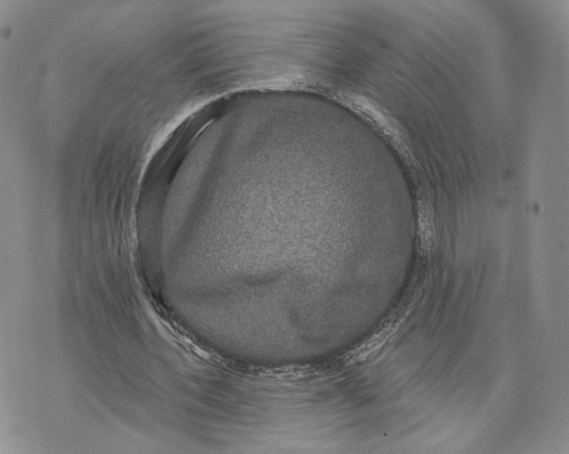 X0000070340532200606301743