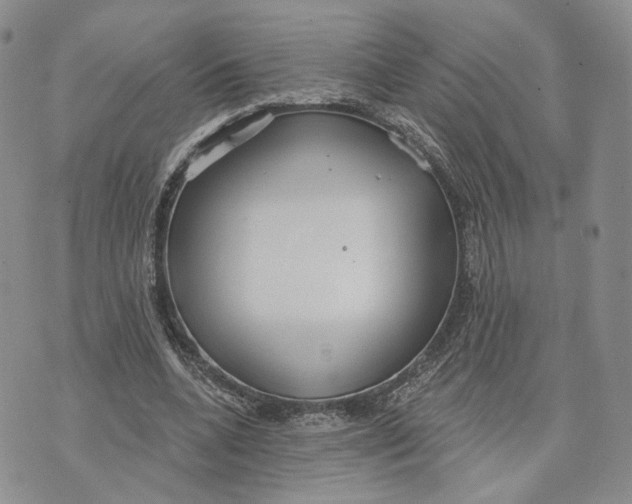 X0000070340536200606301743