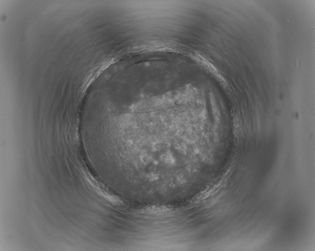 X0000070340537200606301743