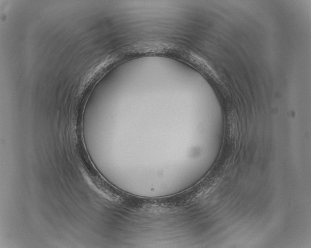 X0000070340538200606301743