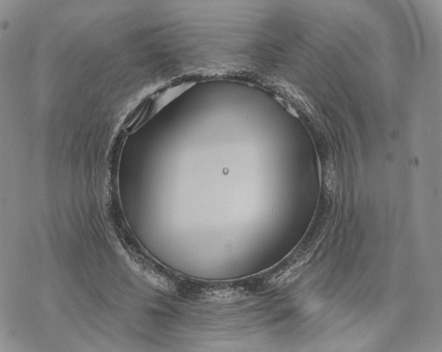 X0000070340540200606301743