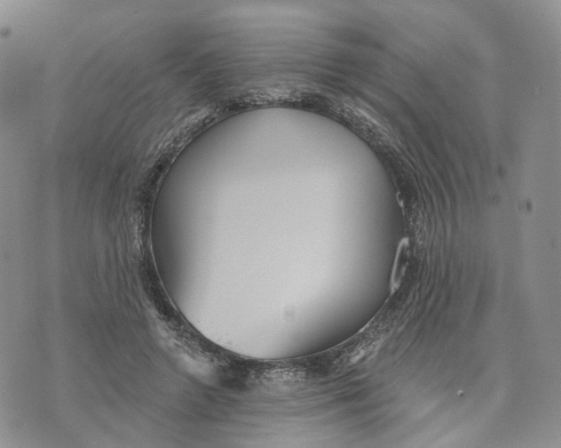 X0000070340546200606301743