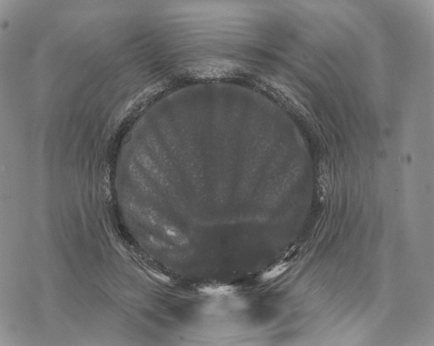 X0000070340547200606301743