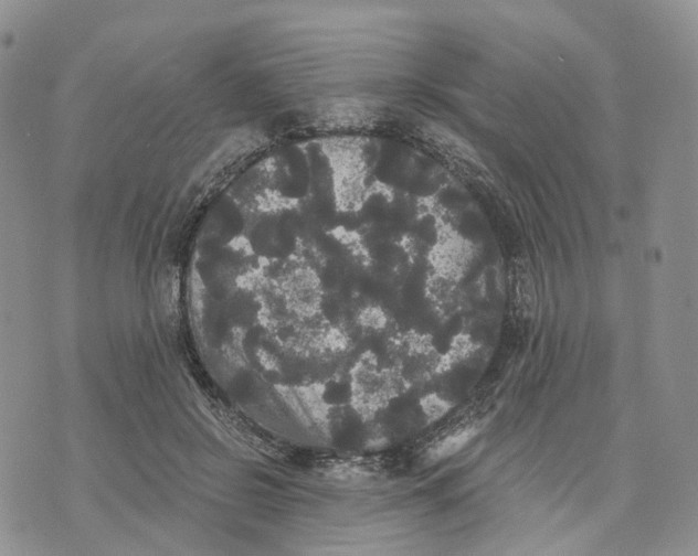 X0000070340550200606301743