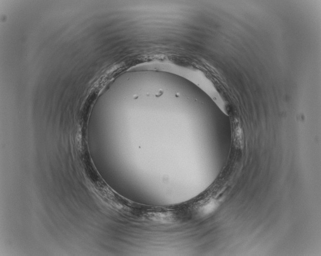 X0000070340552200606301743