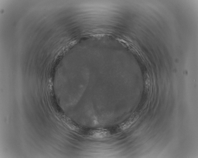 X0000070340555200606301743