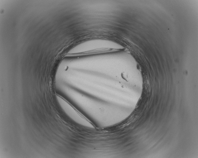 X0000070340556200606301743