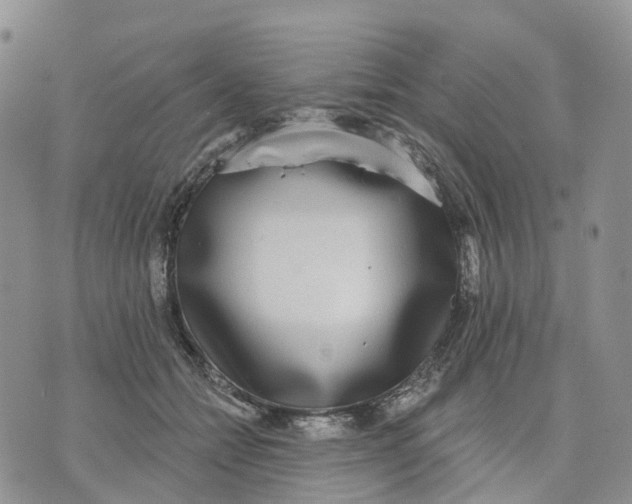 X0000070340558200606301743