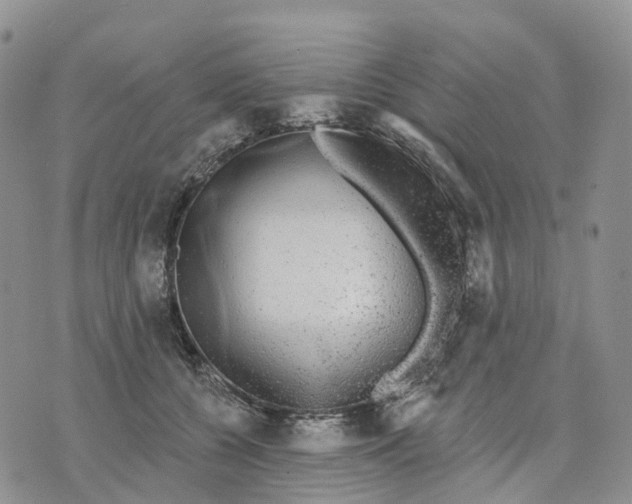 X0000070340560200606301743