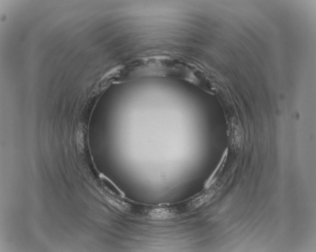 X0000070340562200606301743