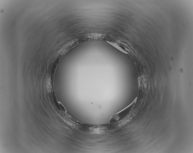 X0000070340564200606301743