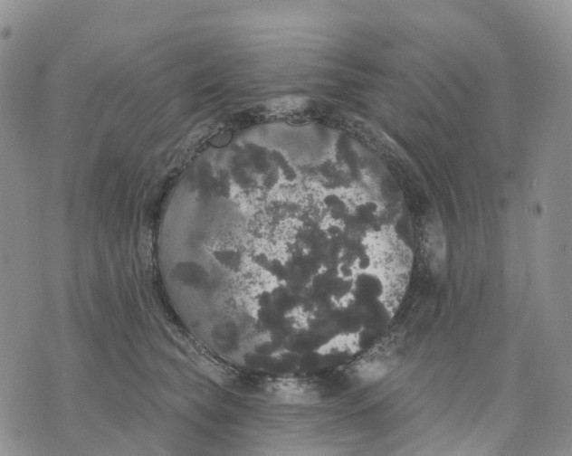 X0000070340565200606301743