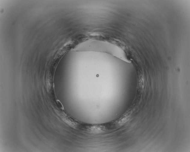 X0000070340566200606301743