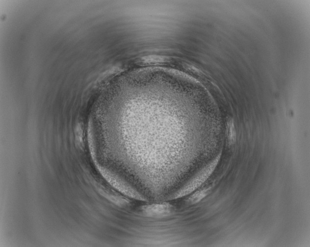 X0000070340567200606301744