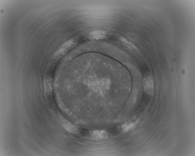 X0000070340570200606301744