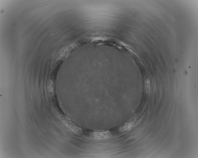 X0000070340571200606301744