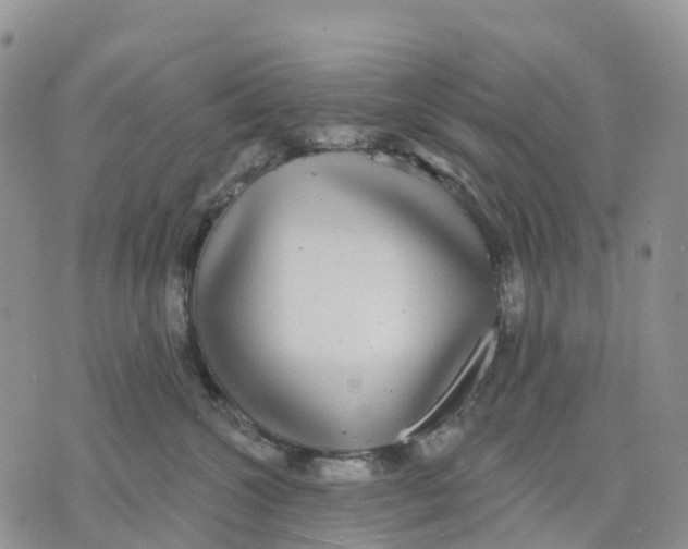 X0000070340572200606301744