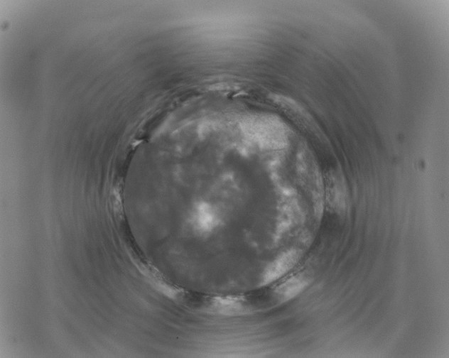 X0000070340573200606301744