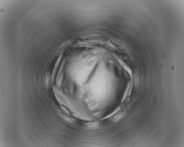 X0000070340574200606301744