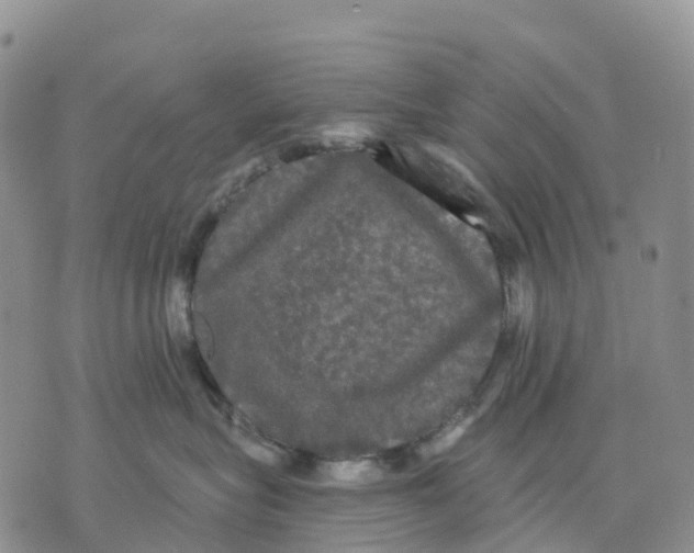 X0000070340575200606301744