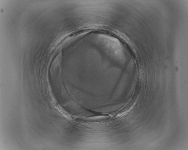 X0000070340577200606301743