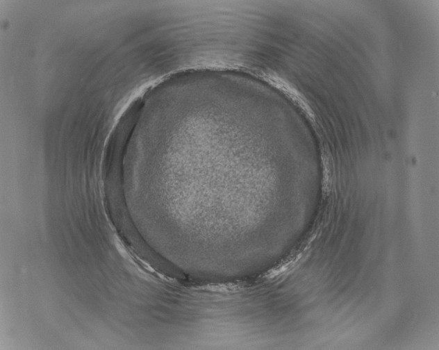 X0000070340580200606301743