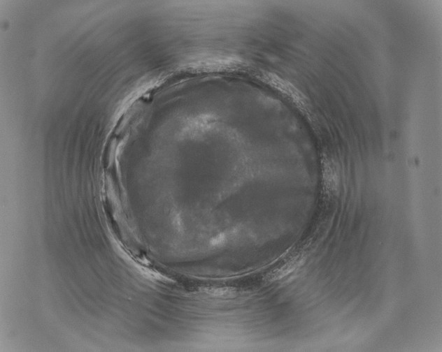 X0000070340582200606301743