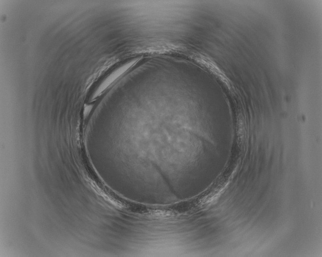 X0000070340585200606301743