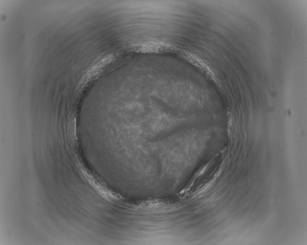 X0000070340589200606301743