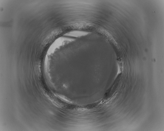 X0000070340590200606301743