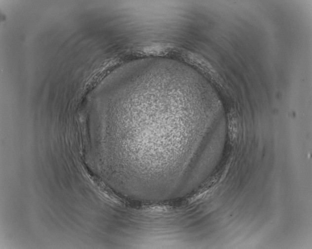 X0000070340593200606301743