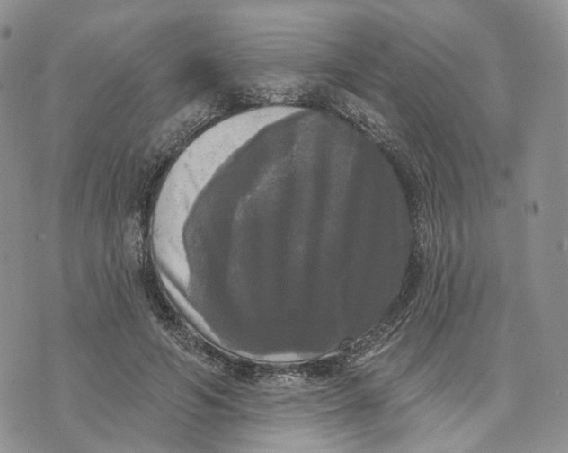 X0000070340594200606301743